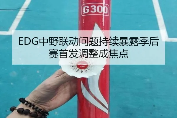 EDG中野联动问题持续暴露季后赛首发调整成焦点